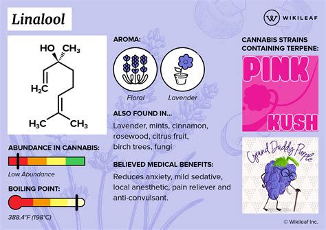 linalool meaning.